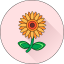 Цветок icon