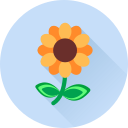 flor icon