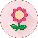 Цветок icon