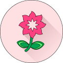 Цветок icon