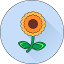 Цветок icon