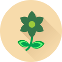 flor icon
