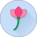 Цветок icon