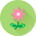 flor icon
