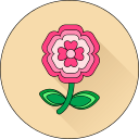 Цветок icon