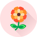 flor icon