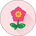 Цветок icon