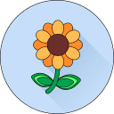 Цветок icon