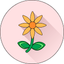 Цветок icon