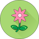 Цветок icon