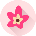 flor icon