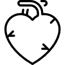 corazón icon