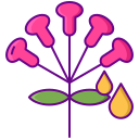 Terpeno icon