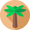 Palmera icon