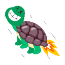 tortuga icon