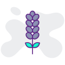 lavanda icon