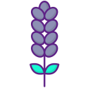 lavanda icon