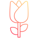 tulipa icon
