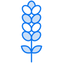 lavanda icon