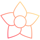 Hoya 