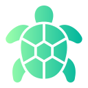 tortuga icon