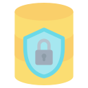 seguridad de datos icon