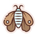 polilla icon