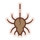 araña icon