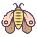 polilla icon