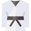 Judo icon