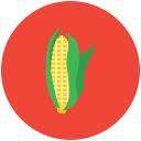 cron icon