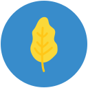 hoja icon