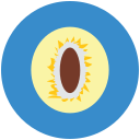 cereza icon