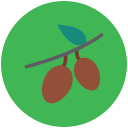 cereza icon