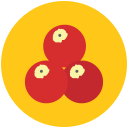 cereza icon