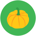 calabaza icon