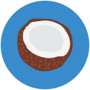 coconet icon