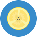 limón icon