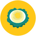 coconet icon