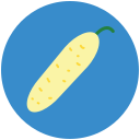 calabaza icon