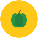 calabaza icon