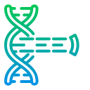 estructura del arn icon