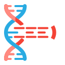 estructura del arn 