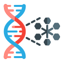 estructura del arn 