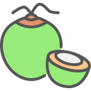 coco icon