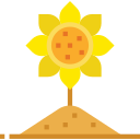 Girasol icon