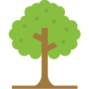 árbol icon