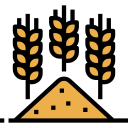 Trigo icon