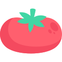 tomate icon