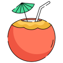 bebida de coco icon